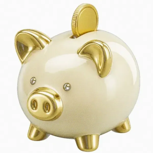Piggy bank — Hopa