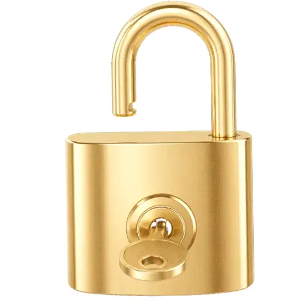 Open padlock — Hopa
