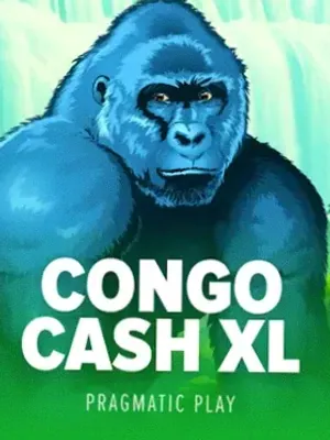Congo Cash XL at Hopa