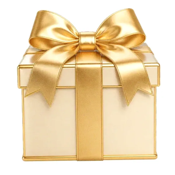 Wrapped gift box — Hopa
